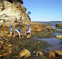 Sapphire Coast Marine Discovery Centre - Accommodation Adelaide
