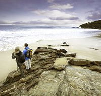 Wilderness Coast Walk - Accommodation Adelaide