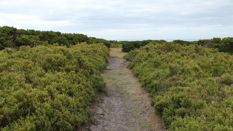 Ben Boyd National Park - Accommodation Adelaide 3