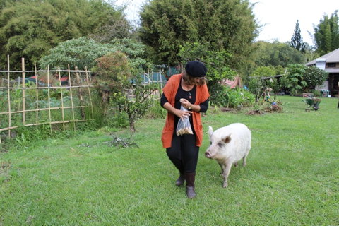 Djanbung Permaculture Gardens - Accommodation Adelaide 7