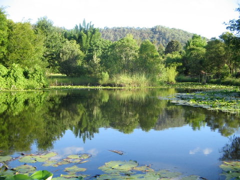 Djanbung Permaculture Gardens - Accommodation Adelaide 10