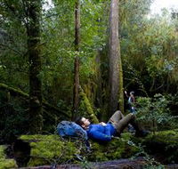 The Tarkine Drive - Accommodation Adelaide
