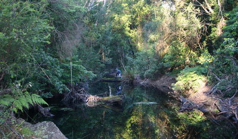 Nadgee Nature Reserve - Accommodation Adelaide 2