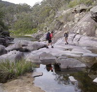 Nadgee Wilderness Walk - Accommodation Adelaide