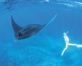 Ningaloo Reef - Accommodation Adelaide 3