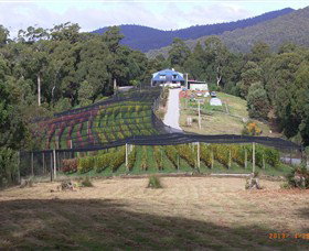 Motton Terraces - Accommodation Adelaide 0