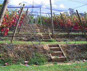 Motton Terraces - Accommodation Adelaide 2
