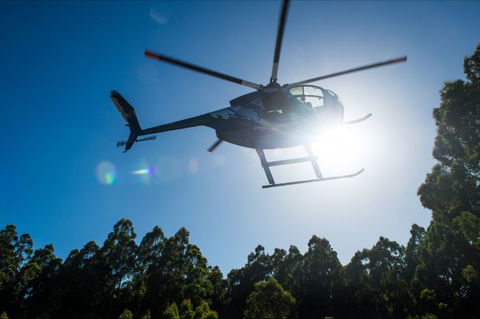 Tall Timbers Adventure Tours - Accommodation Adelaide 6
