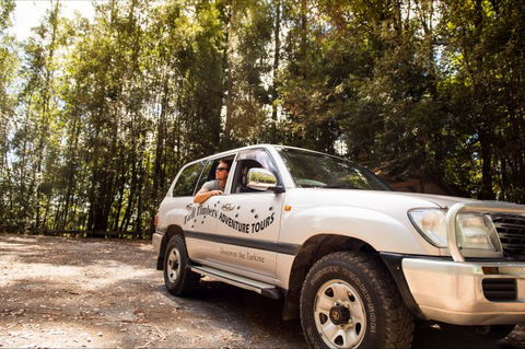 Tall Timbers Adventure Tours - Accommodation Adelaide 9