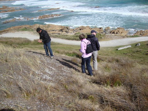 Tall Timbers Adventure Tours - Accommodation Adelaide 12