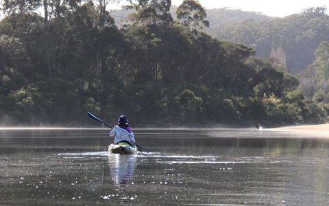 Kiah Wilderness Tours - Accommodation Adelaide 3