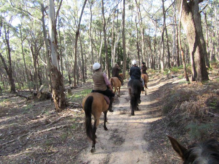 Spring Hill VIC Accommodation Adelaide