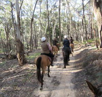 Silver Brumby Trails - Accommodation Adelaide