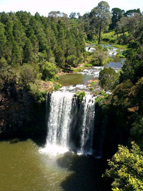 A1 Coffs Coast Tours - Accommodation Adelaide 5