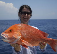Absolute Ocean Charters - Accommodation Adelaide