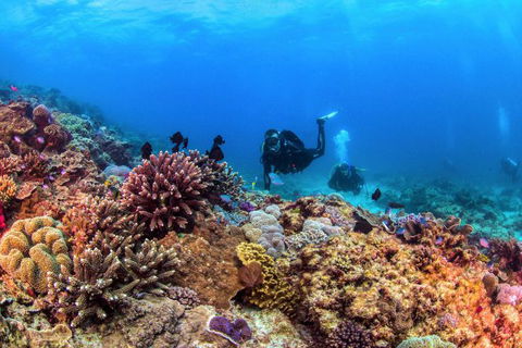 Sunreef Mooloolaba - Accommodation Adelaide 7