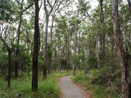 Caboolture Regional Environment Education Centre - Walking Trails - Accommodation Adelaide 0