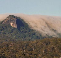 North Queensland Wildscapes Phototours - Accommodation Adelaide