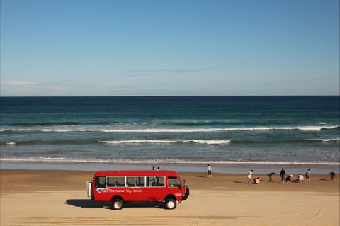 Port Stephens 4WD Tours - Accommodation Adelaide 8