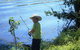 Fraser Coast Amazing Fishing Trails - thumb 14