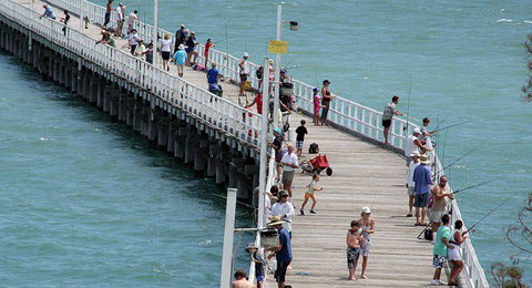Fraser Coast Amazing Fishing Trails - Accommodation Adelaide 25