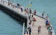 Fraser Coast Amazing Fishing Trails - thumb 26