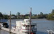 Fraser Coast Amazing Fishing Trails - thumb 34