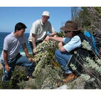 Sapphire Coast Ecotours - Accommodation Adelaide