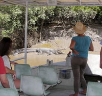 Whitsunday Crocodile Safari - Accommodation Adelaide
