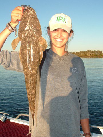 Reel Time Charters Yamba - Accommodation Adelaide 2