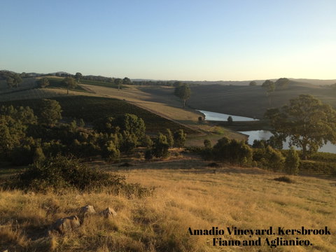La Prova Wines - Accommodation Adelaide 3