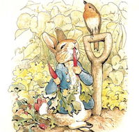 Mount Isa Civic Centre - Accommodation Adelaide