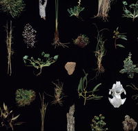 Weswal Gallery - Accommodation Adelaide