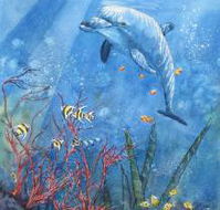Nadas Fine Art Gallery - Accommodation Adelaide