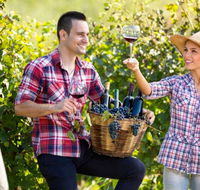 Two Tails Wines - Accommodation Adelaide