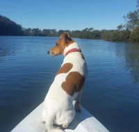 Australis Canoes  Kayaks - Accommodation Adelaide