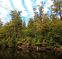 A R Reflections River Cruises - Accommodation Adelaide
