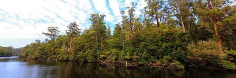 A R Reflections River Cruises - Accommodation Adelaide 0