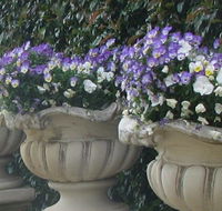 Gardenalia Open Garden and Rare Plant Nursery - Accommodation Adelaide