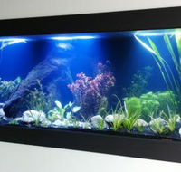 Aquariums in Cairns - Accommodation Adelaide