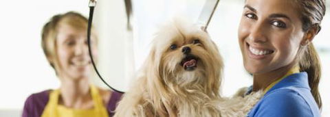 Port Stephens Pet Barn - Accommodation Adelaide 1