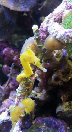 Tropical Marine Centre - Accommodation Adelaide 1