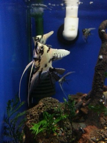 Tropical Marine Centre - Accommodation Adelaide 3