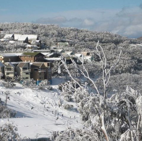 Down Under Thrills - Accommodation Adelaide 2