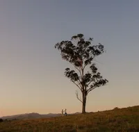 Faulls Ridge Winery - Accommodation Adelaide