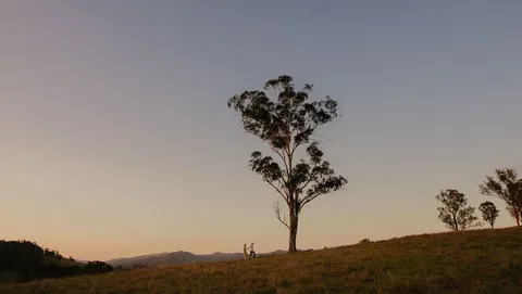 Faulls Ridge Winery - Accommodation Adelaide 0