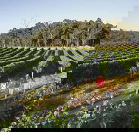 Margaret River Caves Wine and Cape Leeuwin Lighthouse Tour from Perth - Accommodation Adelaide