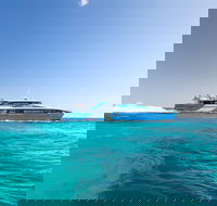 Fremantle to Rottnest Island Roundtrip Ferry Ticket - Accommodation Adelaide