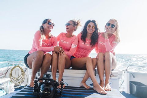 Swim With Whale Sharks- The Largest Fish In The World! - Accommodation Adelaide 15