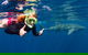 Swim With Whale Sharks- The Largest Fish In The World! - thumb 2